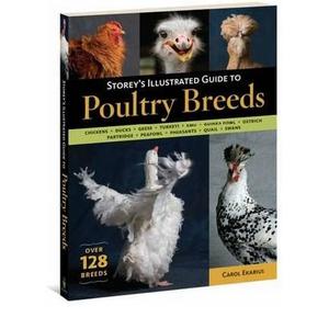 Storey's Illustrated Guide to Poultry Breeds by Ekarius, Carol ( Author ) ON Jun-22-2007, Paperback