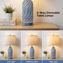 Woven Resin Table Lamps Set of 2, Farmhouse Table Lamps with USB Ports, Touch Button Switch Beside Lamps, Resin Desk Lamp, Linen Shade, Nightstand Lamp for Living Room Bedroom Decor (2 Bulbs Included)