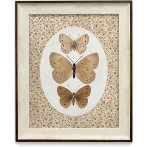 razliubit Butterfly Wall Art Prints, Replaceable Framed Vintage Wall Decors for Room Aesthtic, Small Framed Artwork Oil Painting for Bedroom Bathroom Kitchen Office Decor(10"x12")