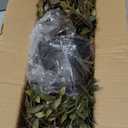 Artificial Hanging Plant 2 Pcs Faux Plant Ivy Vine Faux Eucalyptus Vines Fake Potted Greenery for Wall Living Room Home Shelf Office Bathroom Outdoor Indoor Decor (Type 3)