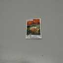 2 x Atlantic Giant Pumpkin Seeds for Planting, 15+ Heirloom Seeds Per Packet, (Isla's Garden Seeds), Non GMO Seeds, Botanical Name: Cucurbita Maxima, Great Home Garden Gift