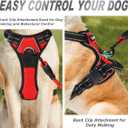 BARKBAY No Pull Dog Harness Front Clip Heavy Duty Reflective Easy Control Handle for Large Dog Walking(Red,M)