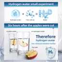 Hydrogen Water Bottle, 5000ppb Hydrogen Water Ionizer, SPE & PEM Hydrogen Water Generator, Alternative for Hydrogen Water Pitcher, 3in1 Hydrohealth Water Bottle