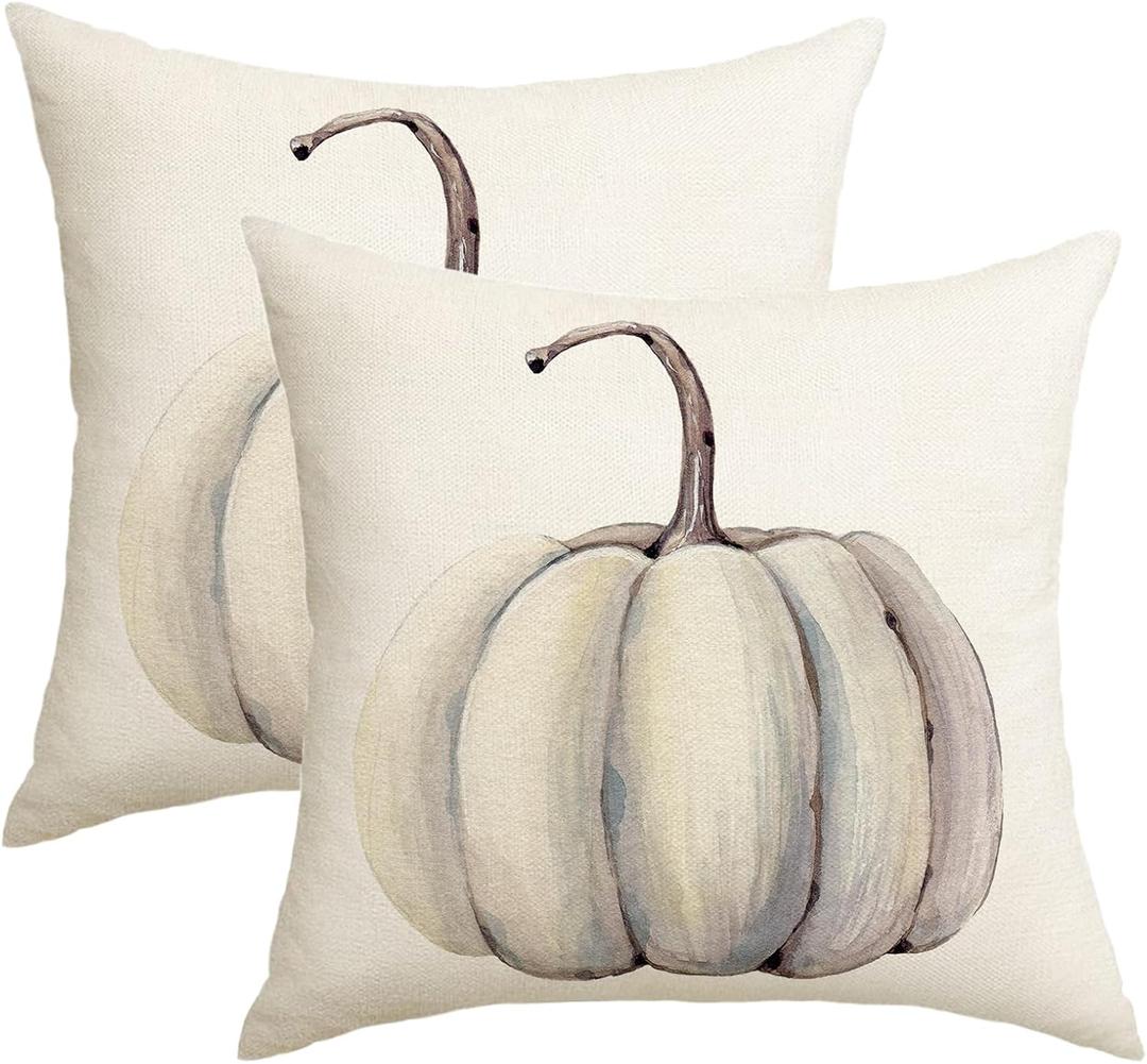 Fall Decorations White Pumpkin Throw Pillow Covers 16x16 Set Of 2 Autumn Outdoor Pumpkins Pillows Cover Teal Gray Thanksgiving Decorative Pillow Case Farmhouse Cushion Cover for Couch Bed Sofa Decor