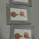 LaVie Home 5x7 Picture Frames (3 Pack, Light Gray Wood Grain) Rustic Photo Frame Set with High Definition Glass for Wall Mount & Table Top Display