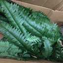 Nearly Natural Giant Boston Fern 36 in Wide Artificial Hanging Plant with Basket - Faux Greenery for Indoor Home Office Bedroom Decor, Realistic Leaves