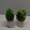 ALAGIRLS Pack of 2 Small Fake Plants, 10" Artificial Plants Indoor Eucalyptus/Rosemary/Succulents, Small Faux Plants in Pulp Pot for Bathroom Bedroom Kitchen Office Living Room Decor