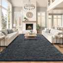 OLANLY 8x10 Machine Washable Large Area Rugs for Living Room, Bedroom, Soft Fluffy Shaggy Bedside Rug, Indoor Floor Carpet for Kids Girls and Boys, Dorms, Nursery, Home Decor Aesthetic, Grey