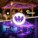 2xC7 Halloween Light Replacement Bulbs, Led Clear Purple Light Bulbs, 0.6 W C7 Bulb E12 Candelabra Base for Christmas Thanksgiving Xmas Tree Holiday Patio Outdoor String Lights Decor -12 Pack 