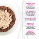 Tiki Cat Born Carnivore Broths, Salmon Recipe, Hydration and Flavor Supplement Cat Food Topper, 1.3 oz. Pouch (Pack of 12)