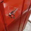 CRAFTSMAN Rolling Cabinets CMST98268RB - 1 Each