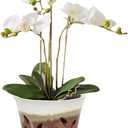 Vensovo 5.5 Inch Ceramic Orchid Pot - Orchid Pot with Holes for Repotting, Ceramic Planter with Saucer for Indoor/Outdoor Plants, Brown