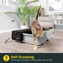 Pet Zone Self Cleaning Semi Automatic Cat Litter Box - Smart Scoop Cat Litter Box with 18 Bags & Carbon Filter for Up to Two Cats 6-16 Pounds