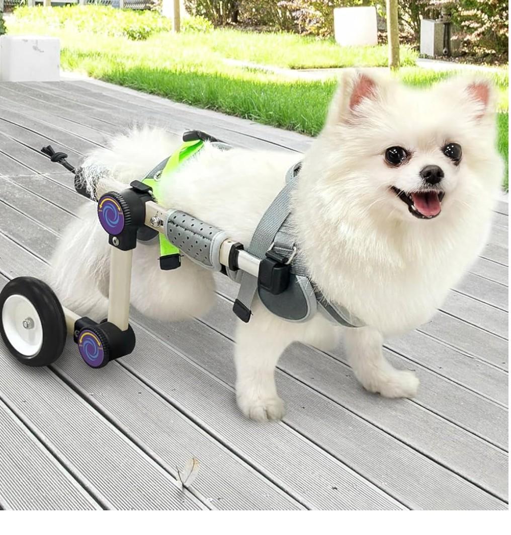 Adjustable Dog Wheelchair for Back Legs Mobility Support Lightweight Pet Wheelchair for Disabled Hind Legs Walking Stable Dog Cart for Pets, Pink (Small