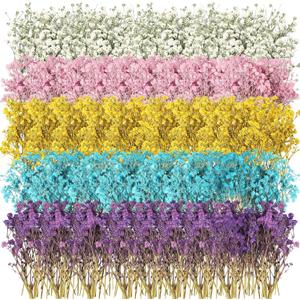 Woanger 100 Pcs Mini Dried Babys Breath Flowers Bulk for Resin Art DIY Craft Dried Natural Gypsophila Branches for Wedding Card Making, Gifts Wrap, Pressed Baby's Breath Flowers Bouquet, 5 Colors