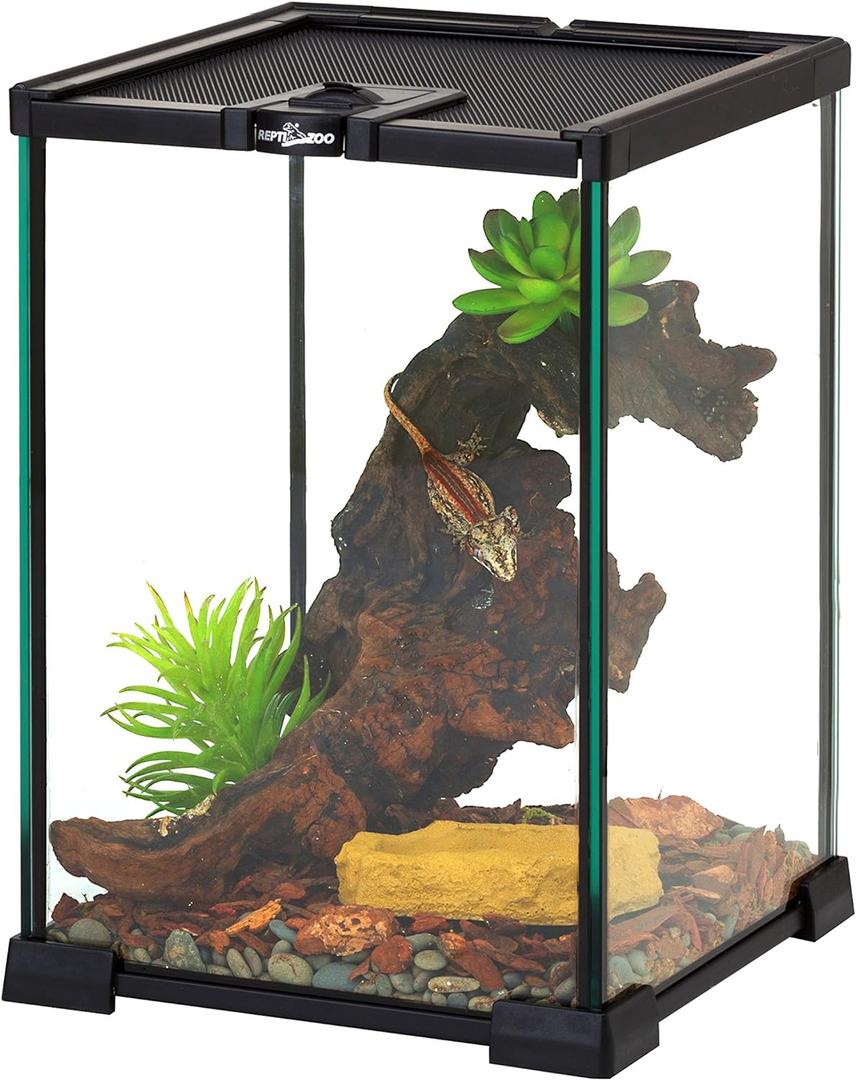 REPTIZOO Mini Reptile Glass Terrarium Tank 8" x 8" x 12" Full View Visually Appealing Top Feeding & Venlitation Small Reptile Glass Habitat