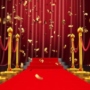 3ftx10ft Red Carpet Runner, 450GSM Extra Thick Non-Slip TPR Rubber, Indoor/Outdoor Carpet for Hollywood&Oscars Runway, Weddings, Proms, Award Ceremonies,Home Parties,Easy to Clean & Reusable