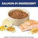 Hill's Science Diet Adult 1-6 Dry Cat Food, Salmon & Brown Rice, 6.5 lb. Bag (EXP 06/01/26)