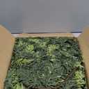 Cedar Real Touch Garland with Lights, 6Ft Pre-Lit Garlands Christmas Decorations, Thickness Realistic Greenery Artificial Pine Garland, Thickness Faux Cedar Garlands for Mantle Xmas Decor