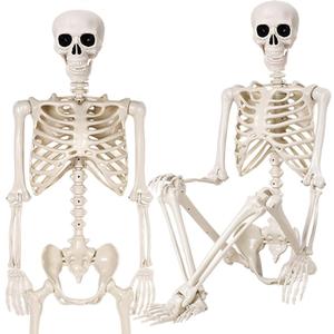 Daricano 36" Halloween Skeleton - 3 ft Life Size Human Skeleton with Full Body Posable Joints - Spooky Scary Plastic Skeletons for Outdoor Decoration, Halloween Party Decor, Haunted House Props