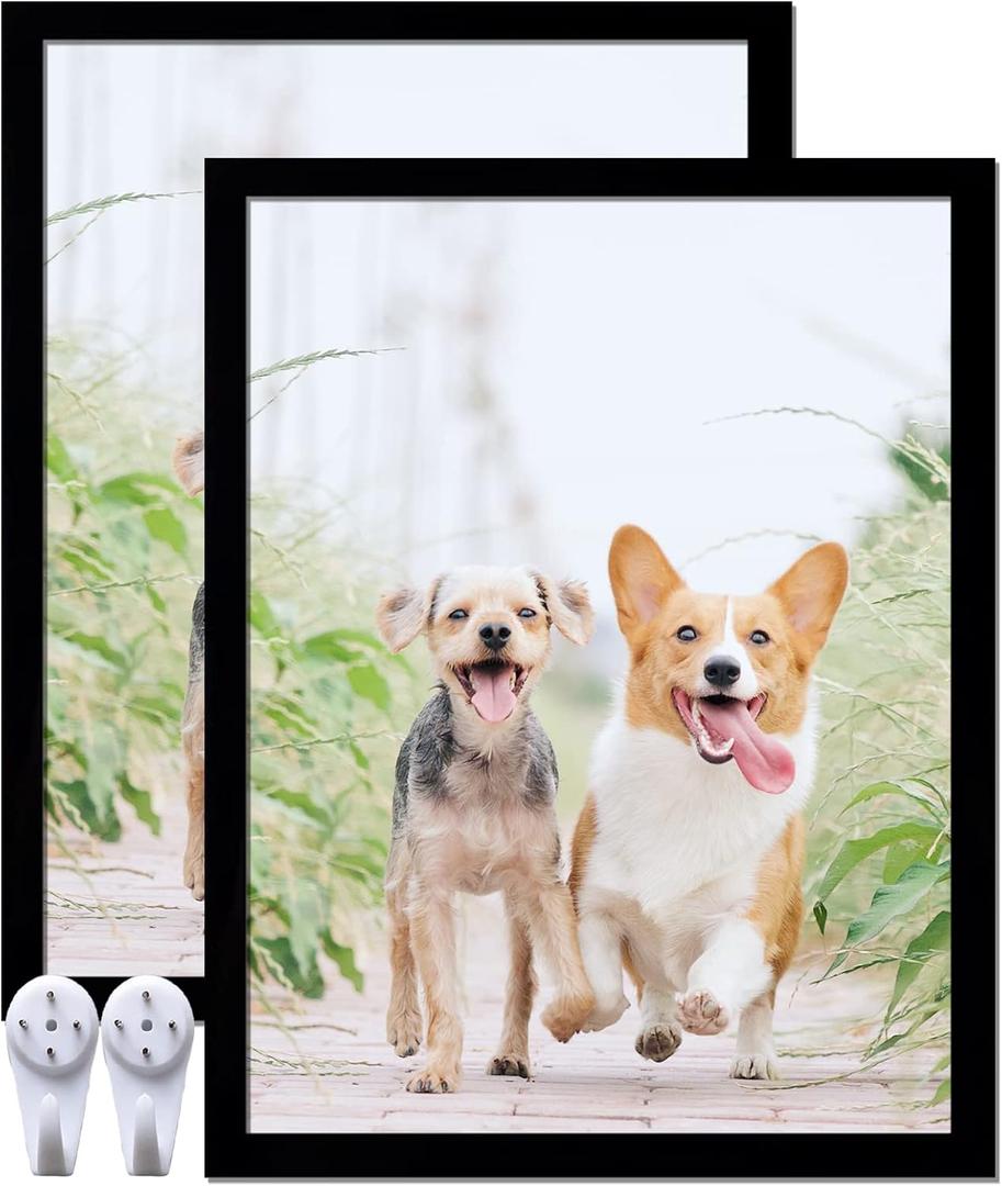 17x22 Picture Frame Set of 2, Black Photo Frames High Transparent Wall Gallery Desktop Horizontal Vertical for Canvas Collage Photo Poster Certificate 17 x 22 inches