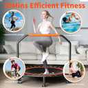 48" Foldable Mini Trampoline Load 330lbs, Portable Exercise Rebounder with Durable Bungee Band, Fitness Trampoline for Adults and Kids
