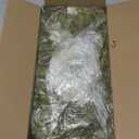 Preserved Reindeer Moss Natural Green DIY Kit Gardenning Art Wall Decor Florist Decor Easter Table Decor Wedding (0.85 lb)