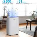 2500 Sq.Ft Dehumidifier for Home Basement, ANDTE 34 Pints Dehumidifier with Drain Hose with Smart Humidity Control, 3 Operation Modes, Powerful Moisture Removal for Large Room, RV, Bathroom, Bedroom