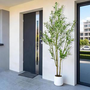Artificial Fake Olive Tree 6FT Tall 1Pack with White Planter Faux Silk Olive Tree for Home Living Room Office Decor Faux Artificial Plants Indoor with Fruit & Free Moss