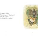 Appley Dapply's Nursery Rhymes (Peter Rabbit)