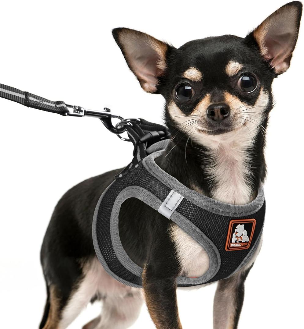 Dog Harness Medium Sized Dogs, Puppy Harness and Leash Set for Training, Running, Walking, Suitable for Medium Dog Vest, Black, M