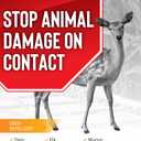 Deer Stopper Garden Animal Repellent - Safe & Effective, All Natural Food Grade Ingredients; Repels Deer Elk, and Moose; Ready to Use, 1 Gallon Liquid Refill Bottle