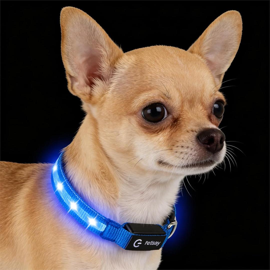 LED Dog Collar for Small Dogs & Toy Breeds USB-C Rechargeable Light Up Dog Collar, Fully Waterproof Adjustable Glow Collar for Night Walking & Safety, Blue, Small (Width:0.6", Length:10" - 14.5")
