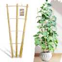 Avalution 10 Pack Bamboo Trellis for Climbing Plants, 4 FT Garden Ladder Trellis for Potted Plants Indoor, Fan-Shaped Small Plant Support Trellis for Houseplants Ivy Hoya Vine Monstera, 10 PACK-48 inches