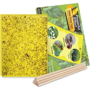 Kensizer 20-Pack Fruit Fly Trap, Yellow Sticky Gnat Traps Killer for Indoor/Outdoor Flying Plant Insect Like Fungus Gnats, Whiteflies, Aphids, Leaf Miners - 6x8 in, Twist Ties Included