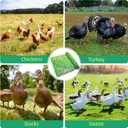 Poultry Netting Electric Fence, 41.5" H x 164' L, Portable Livestock Nets Mesh for Chickens, Ducks, Geese, Turkey, Electric Fencing for Backyards, Homesteaders, Farms, Ranches, Gardens