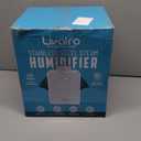 Stainless Steel Humidifier, 3L Warm Mist Humidifier, Easy Clean with Warm Steam Humidifier, Healthy Air Mist Humidifiers for Bedroom Living Room, with Sleep Mode and Auto-off Setting