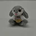 My OLi Easter Bunny Stuffed Animal 8.5" Rabbit Plush Stuffed Bunny with Easter Egg Rabbit Bedtime Friend Soft Toy Gifts for Girls Boys Kids, Gray (Easter Egg -- Gray)