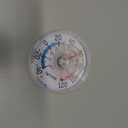 Taylor Outdoor Stick Analog Thermometer