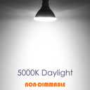 PAR38 LED Flood Light Bulbs, 300W Equivalent, Indoor Outdoor Flood Light Bulb, Daylight 5000K, Waterproof, 35W 4000LM, Non-Dimmable, 2-Pack