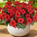 Artificial Flowers for Outdoors, Faux Petunias Spring Summer Decoration, Fake Flowers Plants UV Resistant Look Real Silk Flowers for Outside Planter Front Door Porch Patio Yard (6, Red)