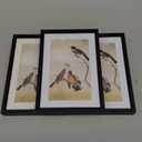 BKABOT 4x6 Picture Frame Set of 3, Black Metal Photo Frames with HD Glass, Fits 3x5 with Mat or 4x6 without Mat, Wall Hanging and Table Display