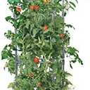 GREEN MOUNT Raised Garden Bed Planter Boxes with Trellis for Climbing Vegetables Plants Tomato Cage