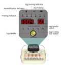 CoInceptus 35 Egg Incubator with Automatic Egg Turning and Humidity Control, Incubator for Chicken Eggs, Quail, Duck Eggs, with Egg Candler