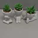 Der Rose 3pcs Fake Succulents Plants Artificial for Bathroom Bedroom Home Room Decor Aesthetic Indoor