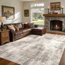 DMOYEST 10x14 Area Rug for Living Room Washable Abstract Indoor Carpet