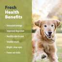 JustFoodForDogs Pantry Fresh Wet Dog Food, Complete Meal or Dog Food Topper, Lamb & Brown Rice Human Grade Dog Food Recipe - 12.5 oz (Pack of 6) (BBD 01/15/28)