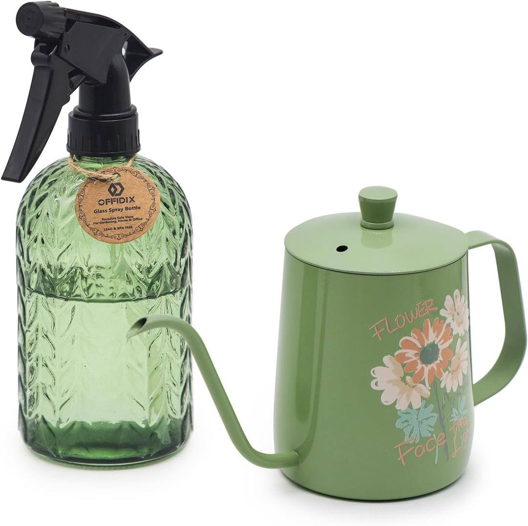 OFFIDIX Watering Can for Indoor Plants,Long Spout Metal Stainless Steel 21 oz Small Indoor Plant Watering Can with 14 oz Glass Plant Mister Spray Bottle for Inside