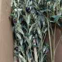 Realead Tall Faux Olive Tree 9ft - Realistic Large Silk Olive Tree Artificial Indoors - Fake Olive Trees with Branches and Fruits - Artificial Olive Trees for Home Office Decor Indoor