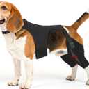 Dog Knee Brace for Torn ACL Hind Leg, Medium
